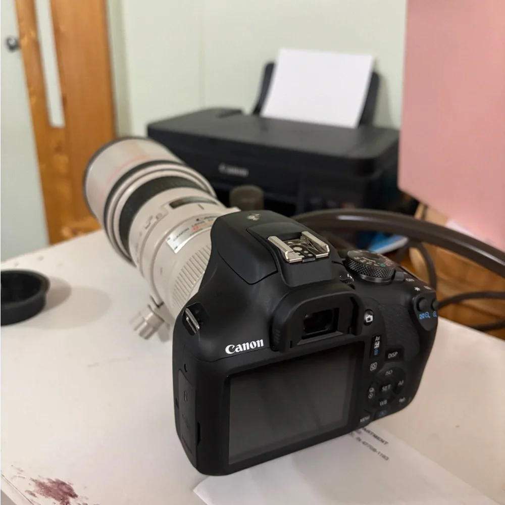 Canon White Telephoto Zoom Lens with Black Accents